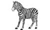 Zebra - Coloring Page