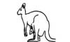 Kangaroo - Coloring Page